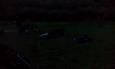 IMG 20170715 221107